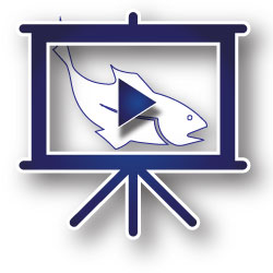 AQUI S Calculator icon