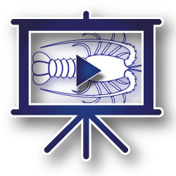 AQUI S Calculator icon