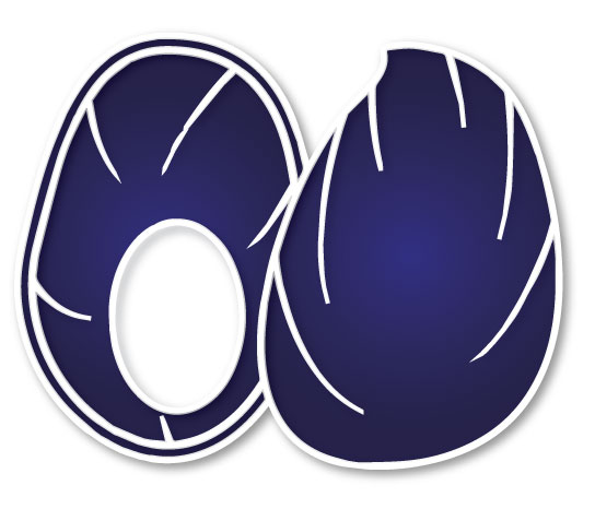 Paua